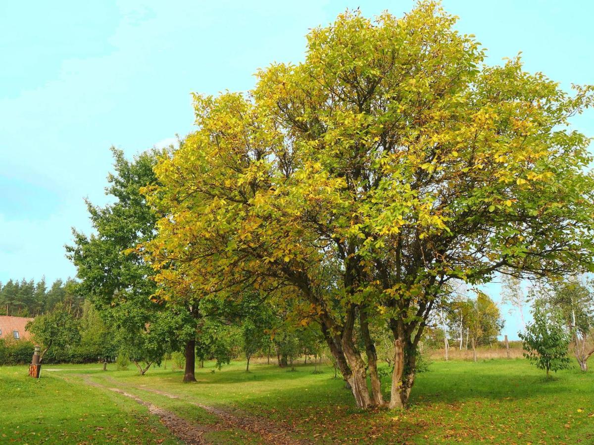 Dom Goscinny Bogdany Barczewo Esterno foto